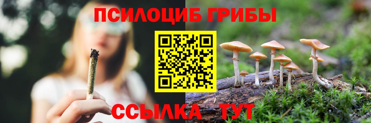 Белгород  Псилоцибиновые грибы мицелий  Псилоцибиновые грибы прущие грибы  Вход с VPN 